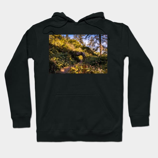 Hiking trail and a tree tunnel Hoodie by blossomcophoto
